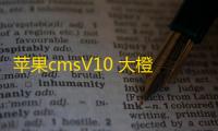 苹果cmsV10 大橙子主题3.1.6完美修复版